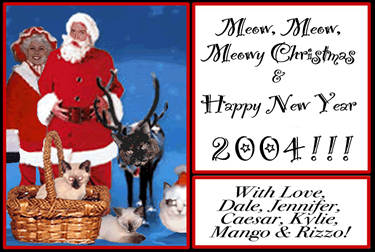 MeRrY ChRiStMaS!